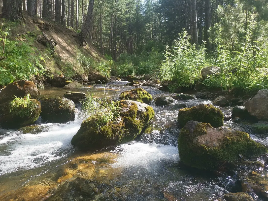 Melikler Yaylası Picnic and Camping Area is closed — Isparta — küçük resim 6