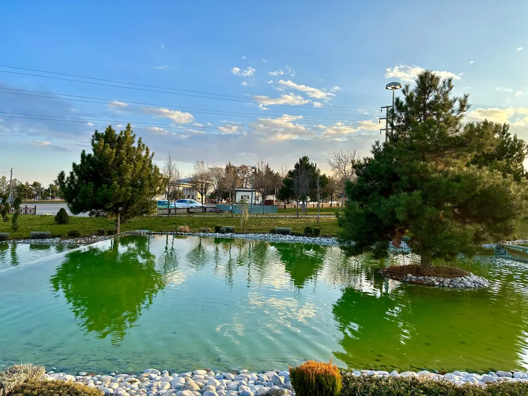 Dutlukır Parkı