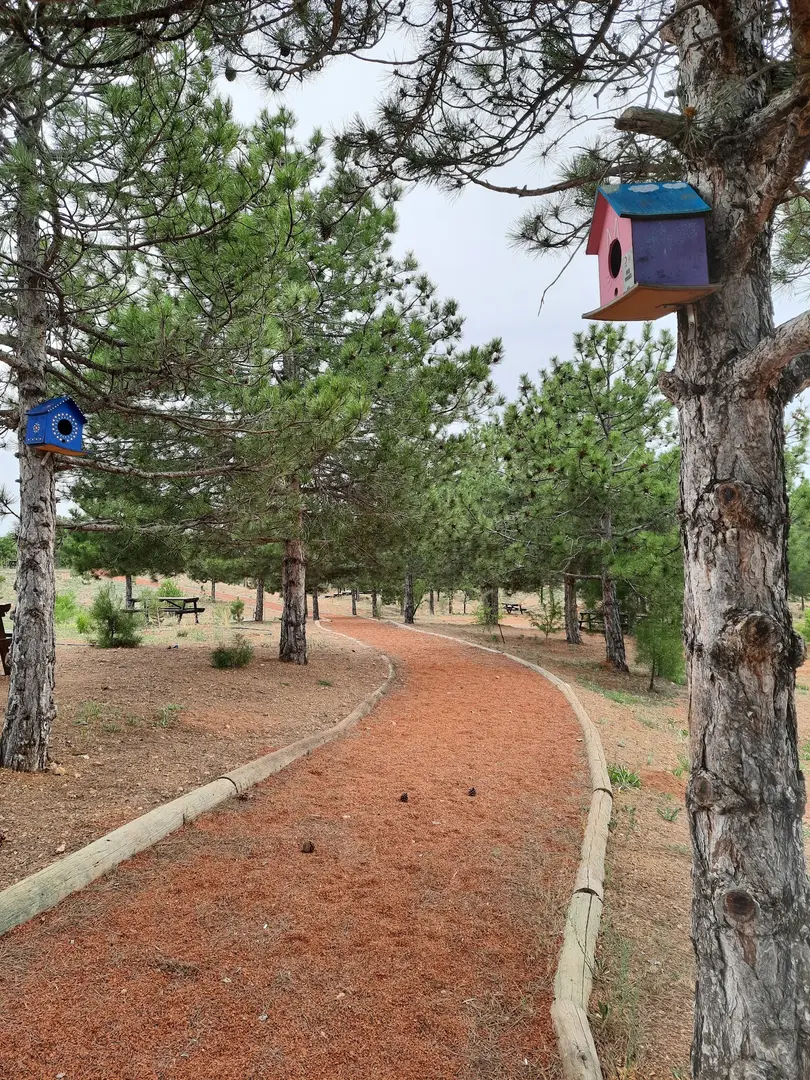 Dutlukıra Park — Konya — küçük resim 5