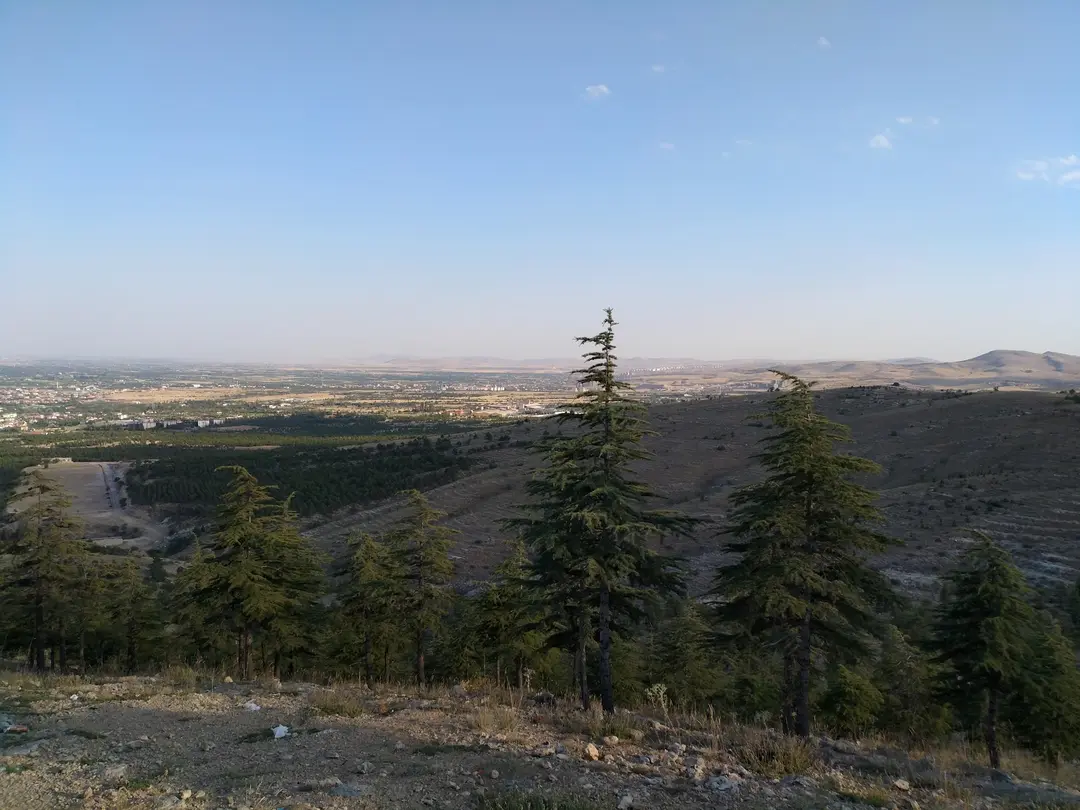 Muhsin Yazıcıoğlu Hatıra Ormanı — Konya — küçük resim 7