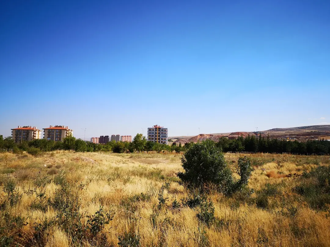 Muhsin Yazıcıoğlu Hatıra Ormanı — Konya — küçük resim 2