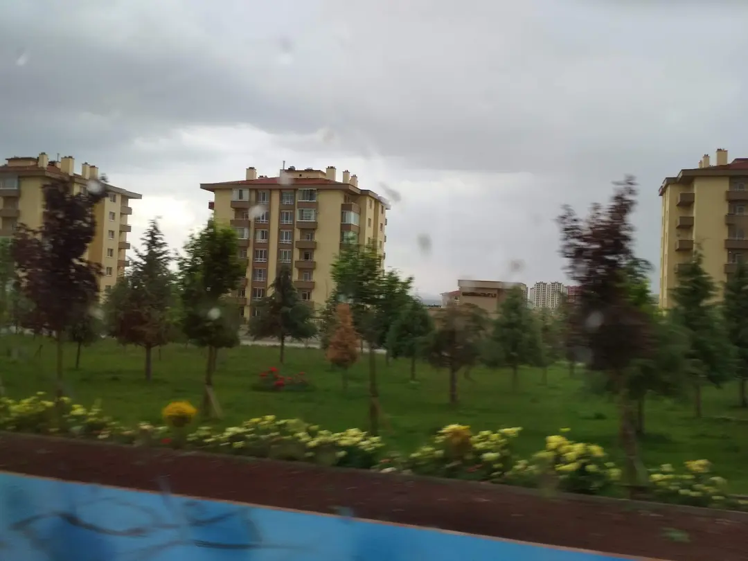 Muhsin Yazıcıoğlu Hatıra Ormanı