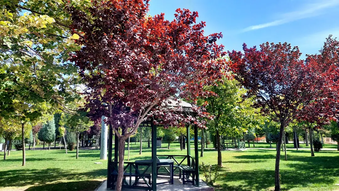 Karaaslan Hadimi Parkı — Konya — küçük resim 4