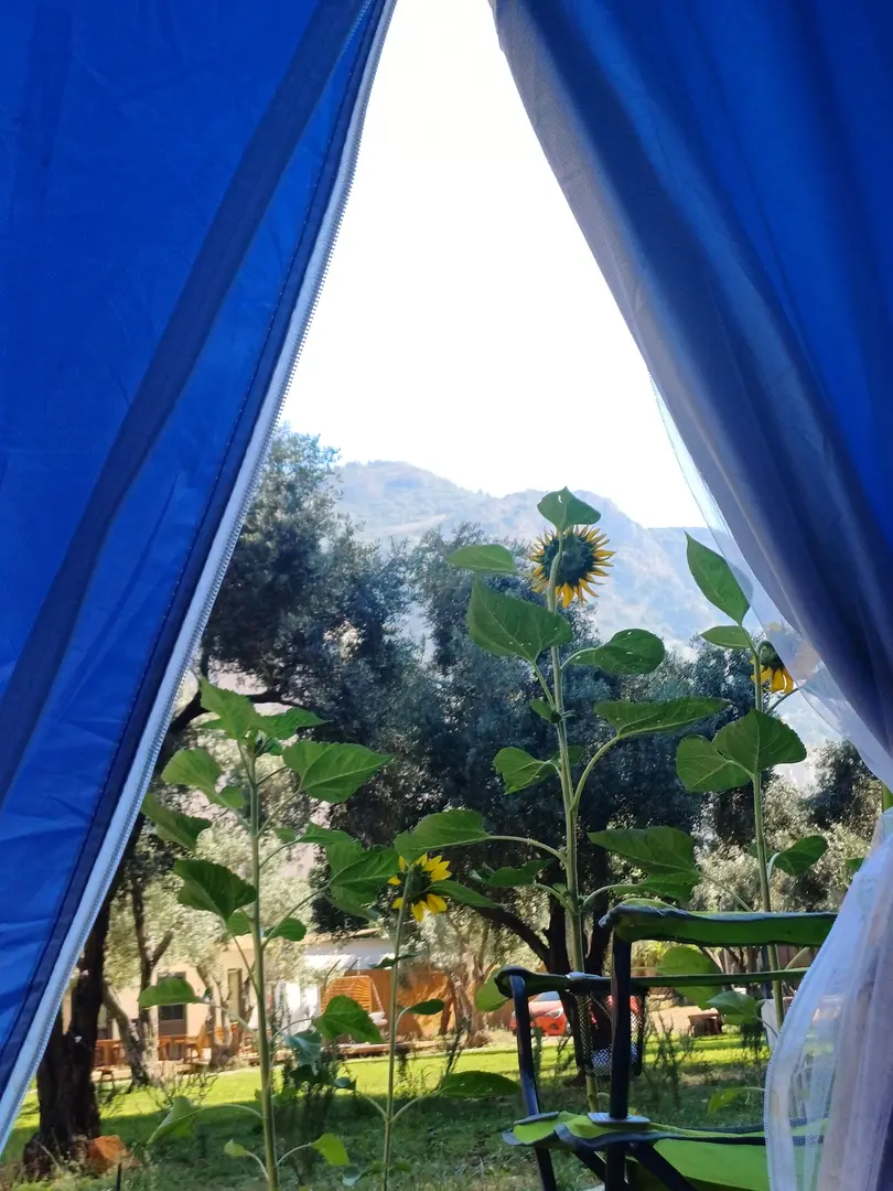 YaDa Camping — Muğla — küçük resim 9