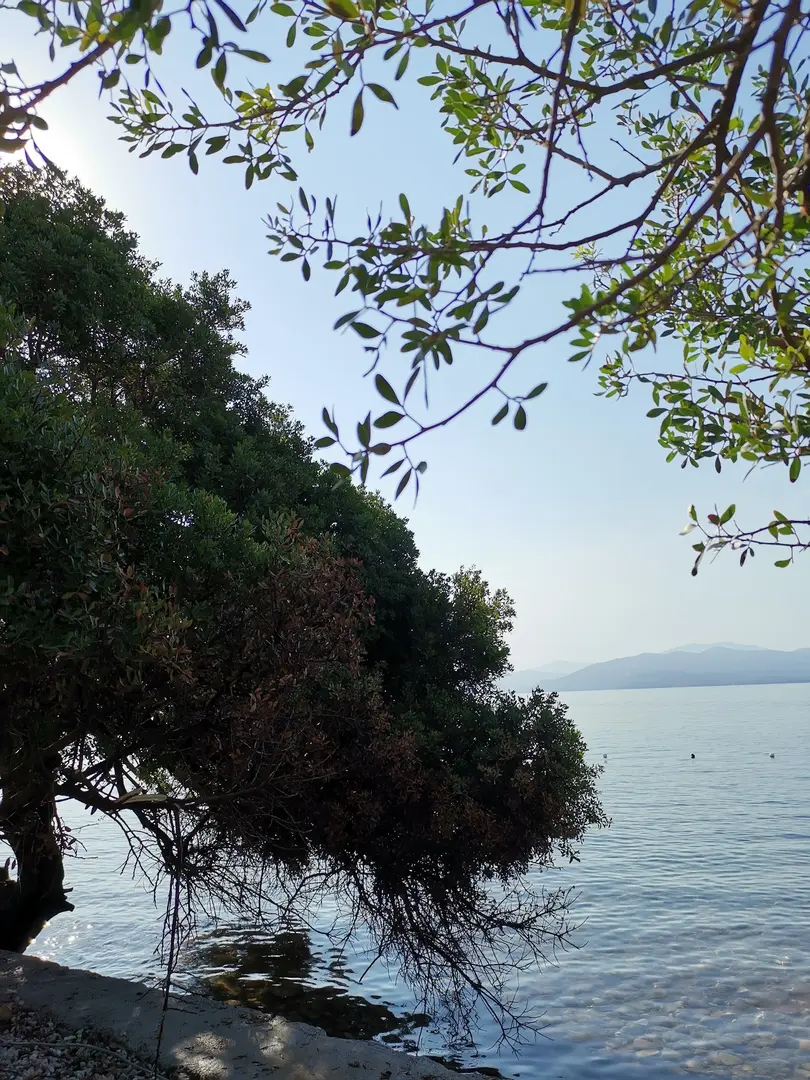 Turnalı Boncuk Camping — Muğla — küçük resim 10