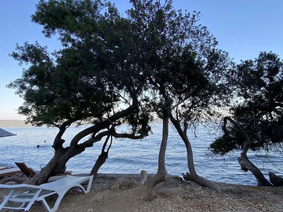 Turnalı Boncuk Camping — Muğla — küçük resim 4