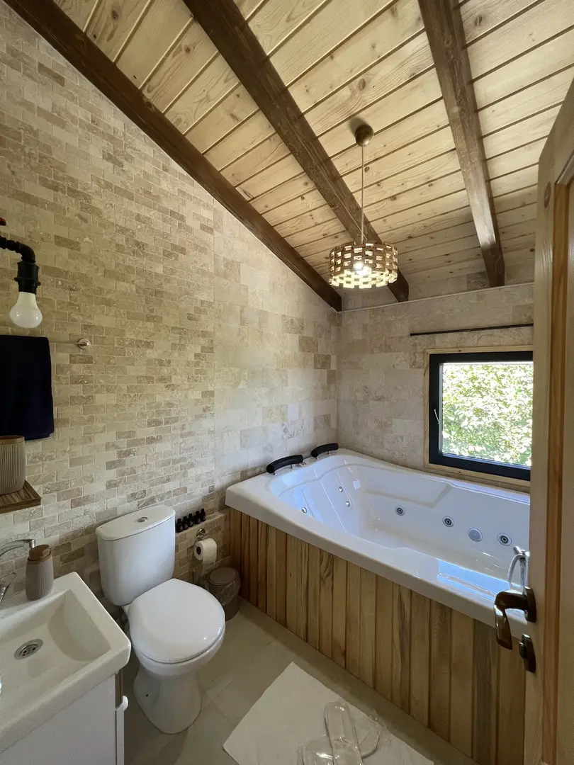 Aile Suıte Resort Bungalov — Sakarya — küçük resim 4
