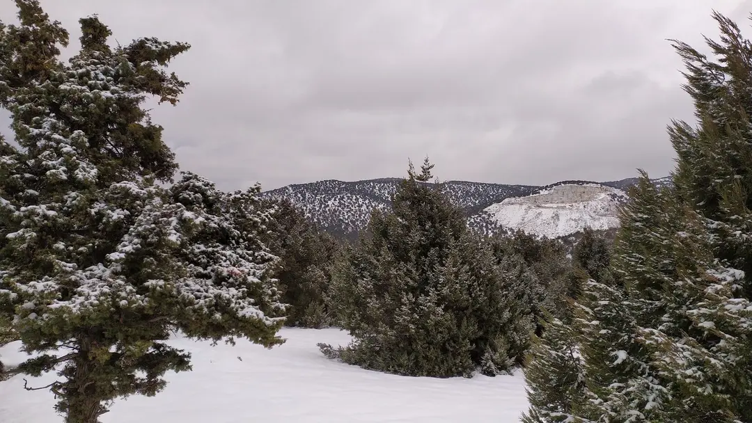 Ünal fjellhus — Konya — küçük resim 5