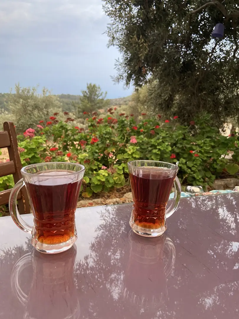 Kardelen Camping Akbük Muğla — Muğla — küçük resim 5