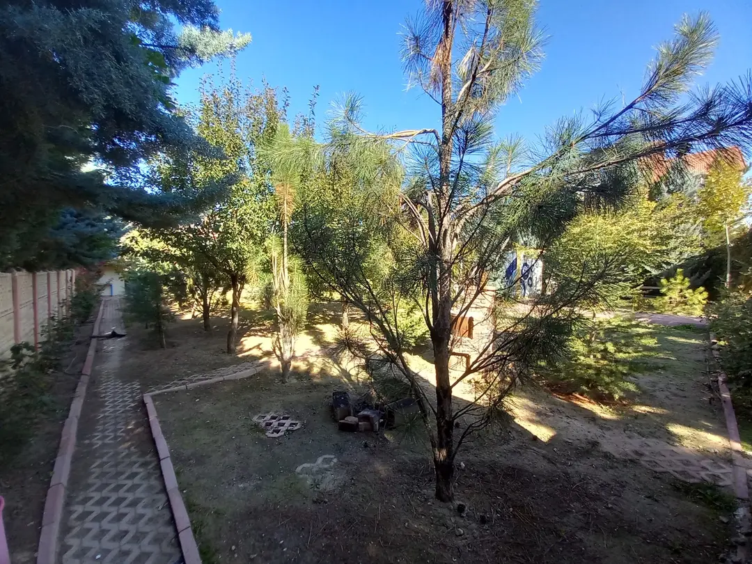 DrAldur — Konya — küçük resim 2
