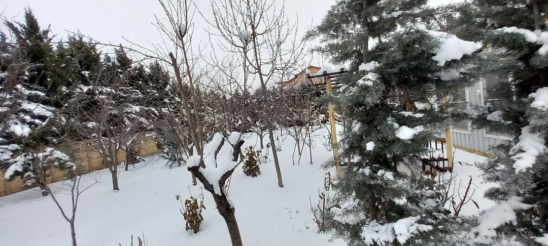 DrAldur — Konya — küçük resim 3