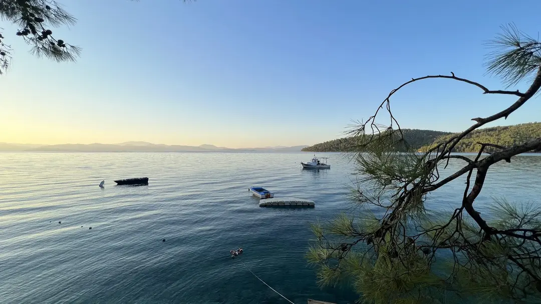 Yeşilçam Kamp — Muğla — küçük resim 7