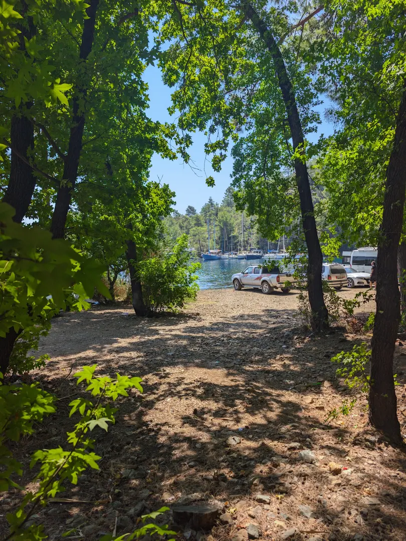 Günlük Cove Free Camping Area — Muğla — küçük resim 3