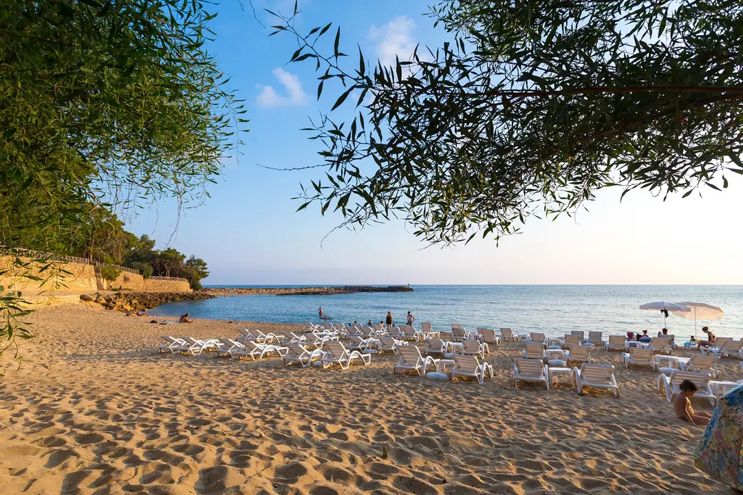 İncekum Orman Kampı — Antalya — küçük resim 5