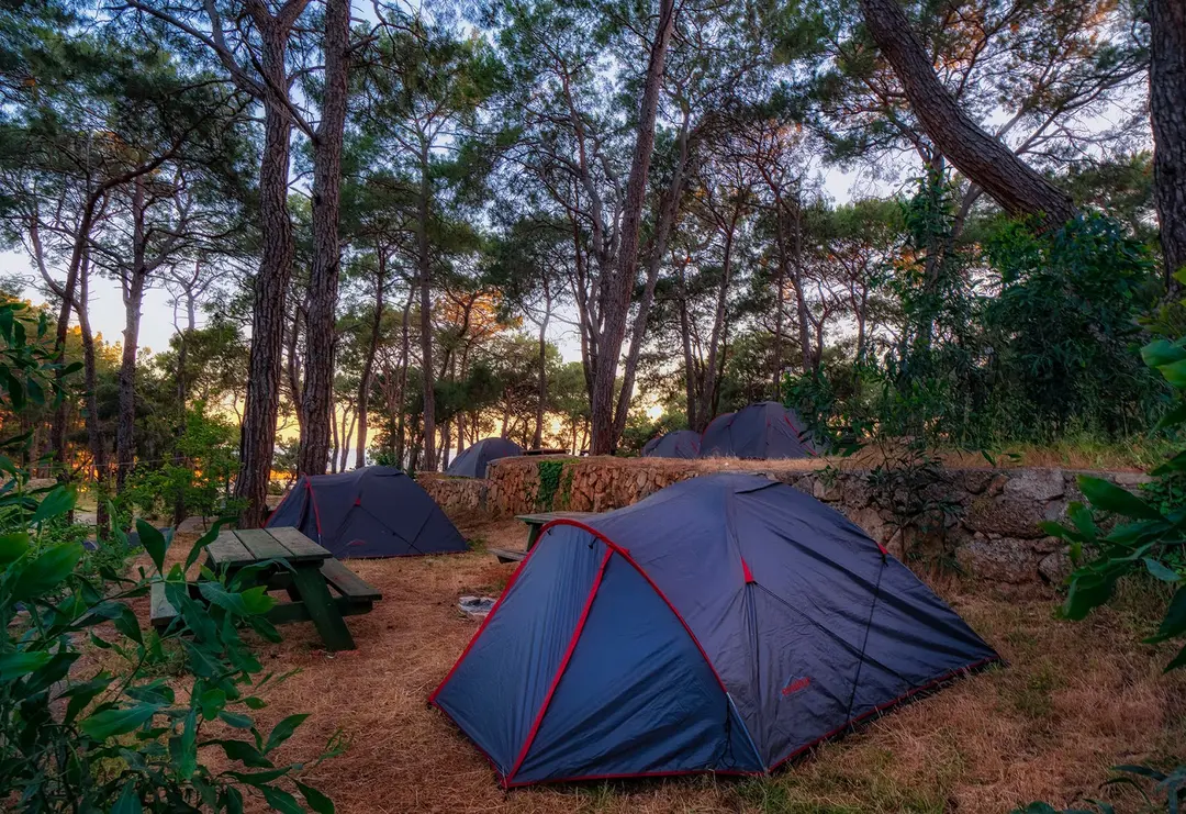 İncekum Orman Kampı — Antalya — küçük resim 9