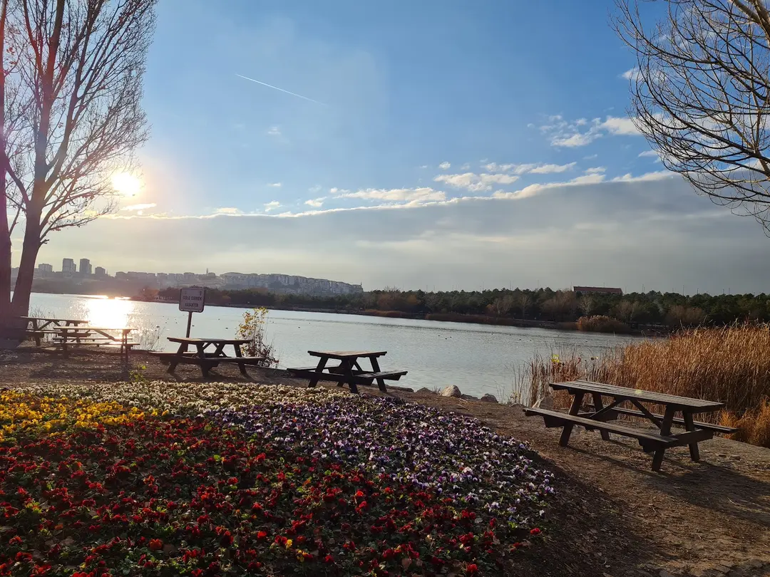 TÜSEB Aziz Sancar Park — Ankara — küçük resim 6