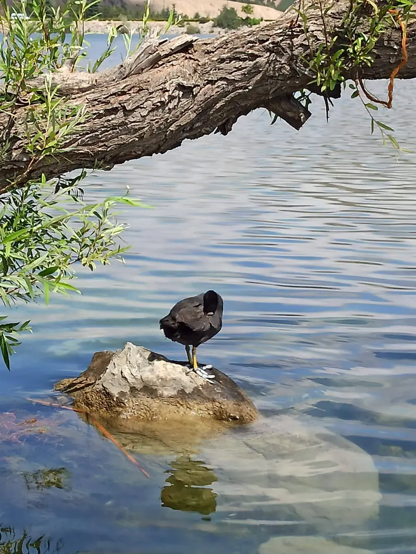 TÜSEB Aziz Sancar Park — Ankara — küçük resim 9