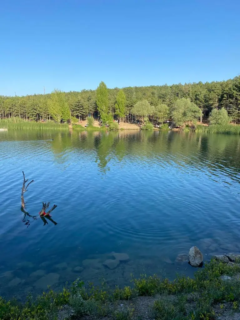 TÜSEB Aziz Sancar Park — Ankara — küçük resim 2