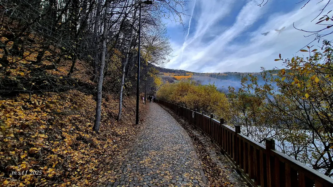 Karagöl Tabiat Parkı — Ankara — küçük resim 3