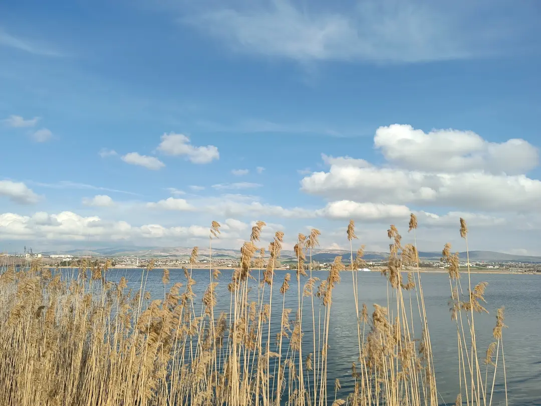 Ankara Büyükşehir Belediyesi Mogan Park — Ankara — küçük resim 10