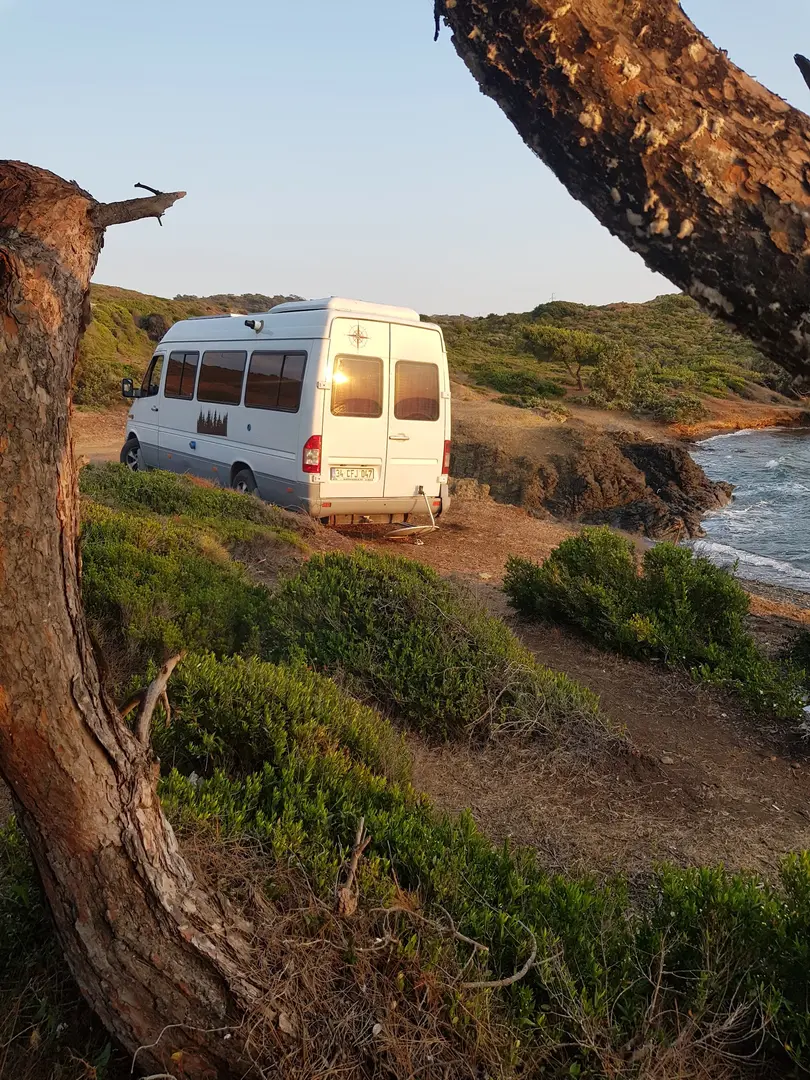Kostenloser Elmas Camp Bereich