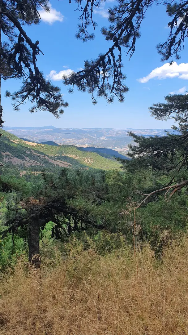 Soğuksu Nationalpark — Ankara — küçük resim 7
