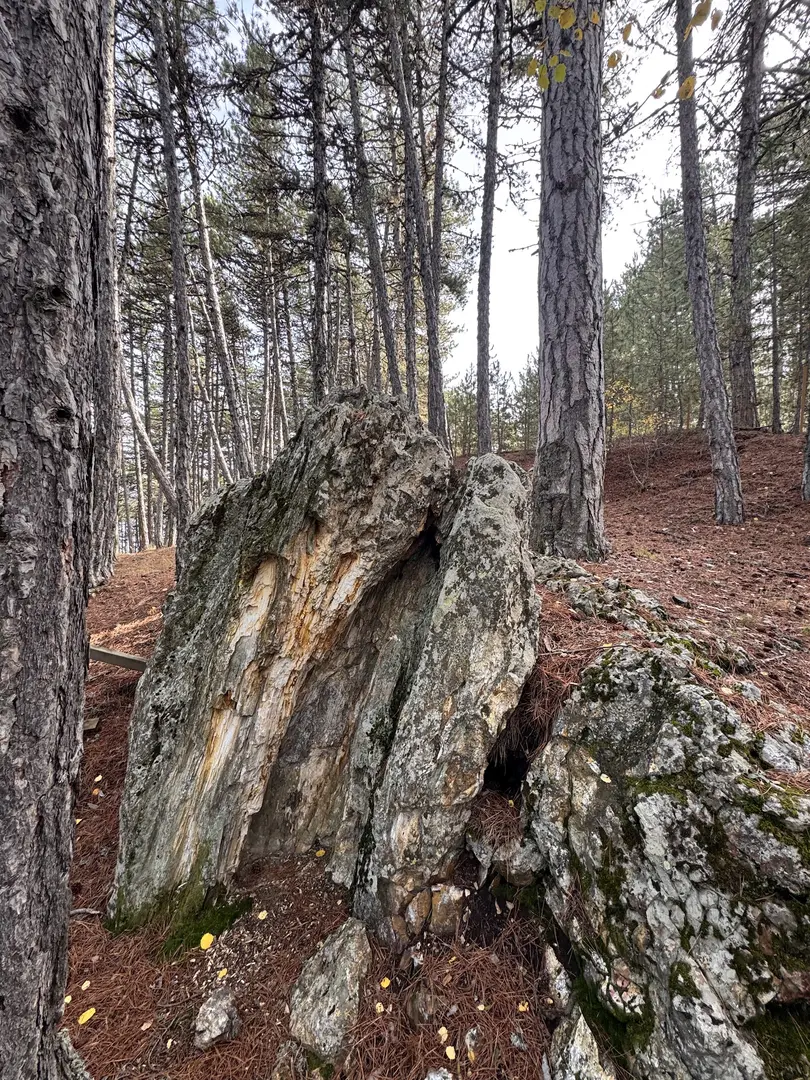 Soğuksu Nationalpark — Ankara — küçük resim 4