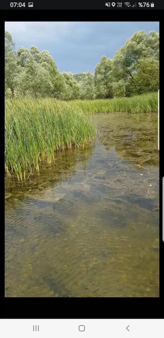 Alicin camping area — Ankara — küçük resim 2