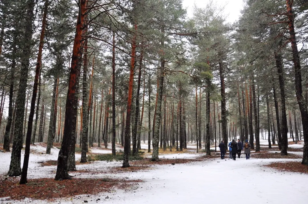 Parco Naturale di Çamkoru e Area Campeggio — Ankara — küçük resim 6