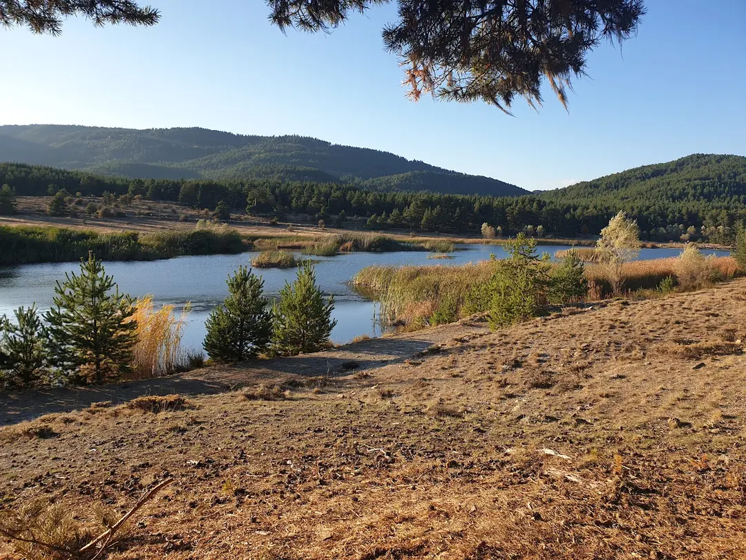 Parco Naturale di Çamkoru e Area Campeggio — Ankara — küçük resim 9