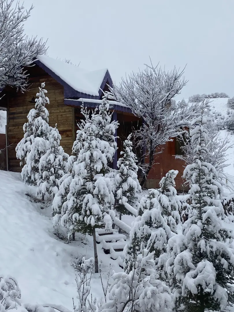 DÜŞ YOLCUSU BUNGALOV OTEL VE AT ÇİFTLİĞİ — Ankara — küçük resim 5