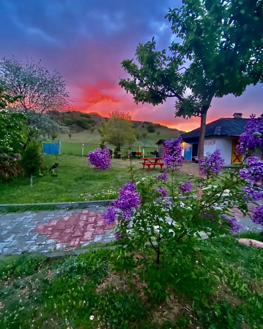 DÜŞ YOLCUSU BUNGALOV OTEL VE AT ÇİFTLİĞİ — Ankara — fotoğraf 1