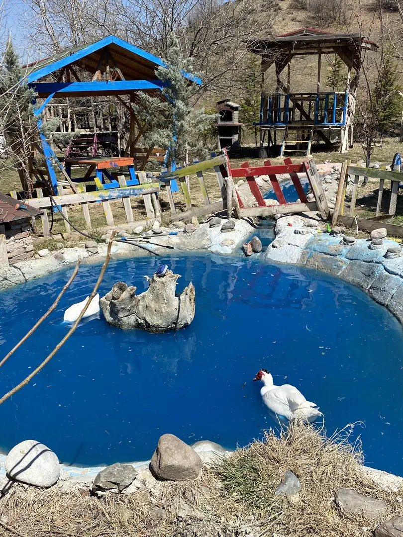 DÜŞ YOLCUSU BUNGALOV OTEL VE AT ÇİFTLİĞİ — Ankara — küçük resim 2
