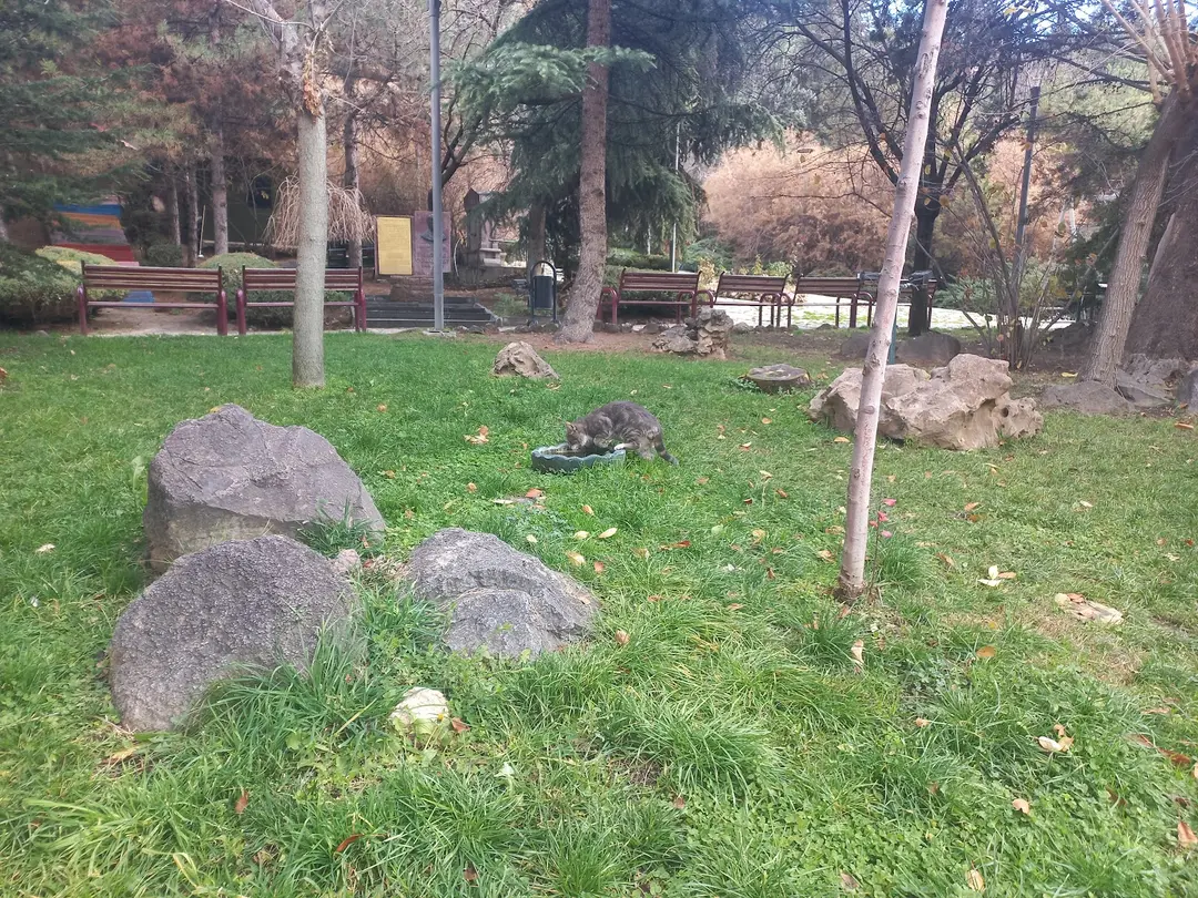Cennet mekan — Ankara — küçük resim 3