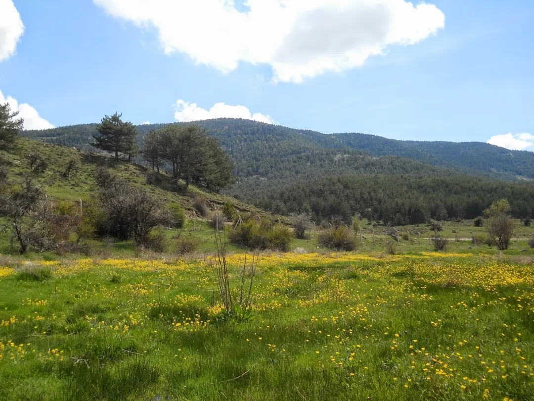 Sorgun-See Naturpark, Wohnmobilcamping — Ankara — küçük resim 7