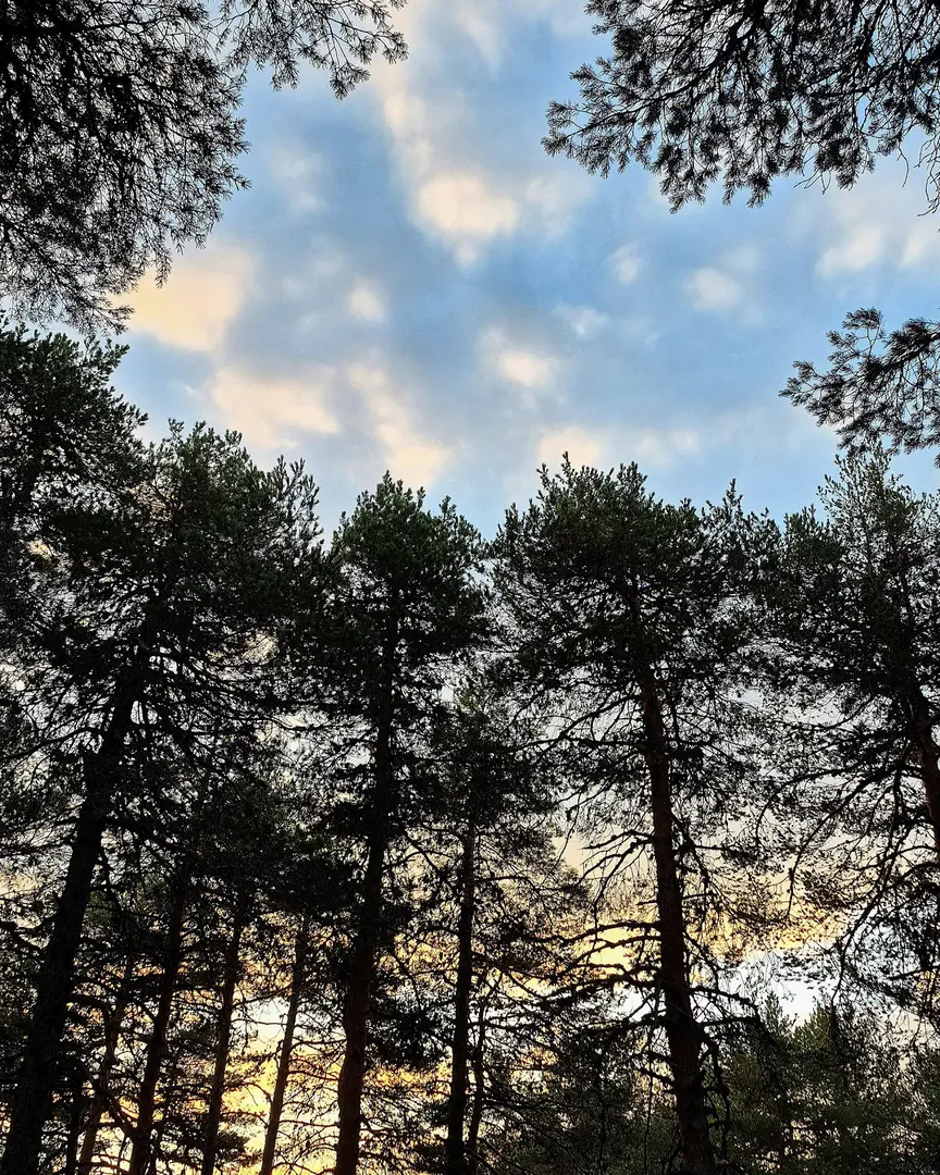 Campo Giovanile — Ankara — küçük resim 4