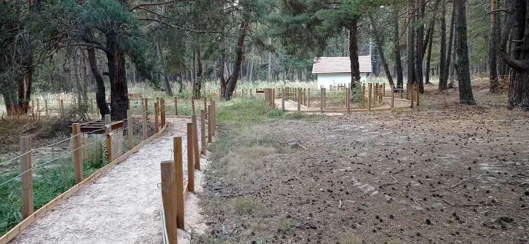Campo Giovanile — Ankara — küçük resim 9