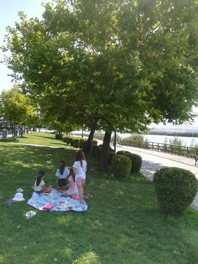 Ankara Return Picnic Area Değirmenens Front — Ankara — küçük resim 10