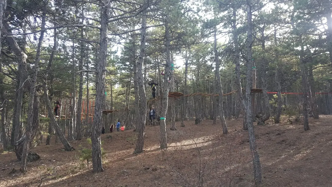 Beynam Wald — Ankara — küçük resim 9