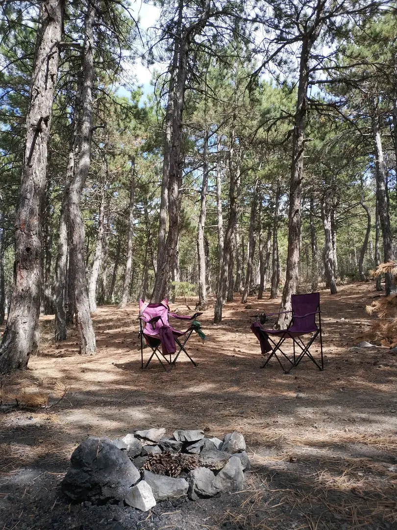 Beynam Wald — Ankara — küçük resim 5