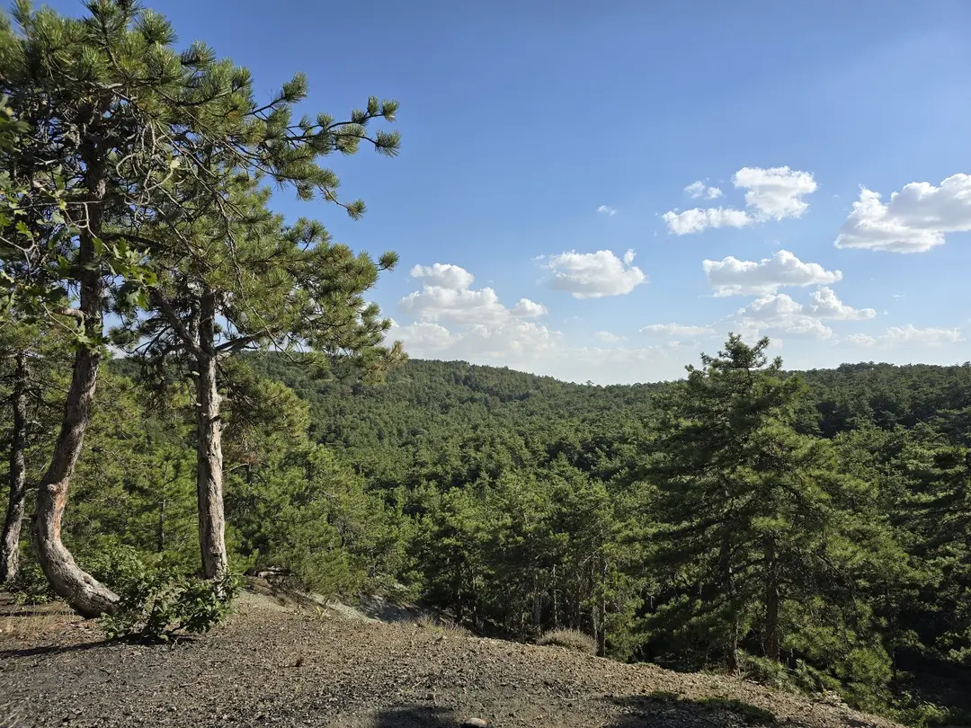 Beynam Wald — Ankara — küçük resim 3