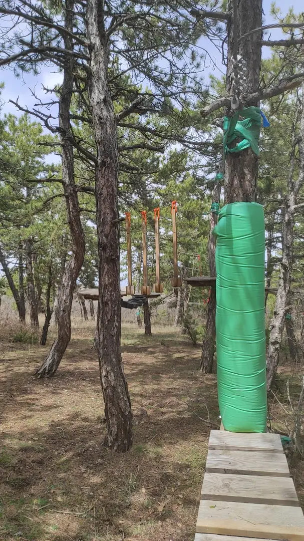 Beynam Wald — Ankara — küçük resim 10