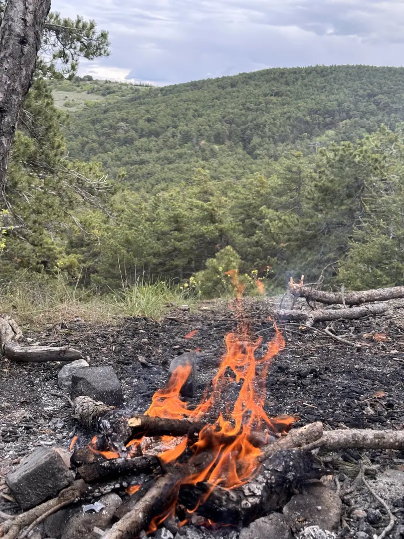 Beynam Wald — Ankara — küçük resim 6