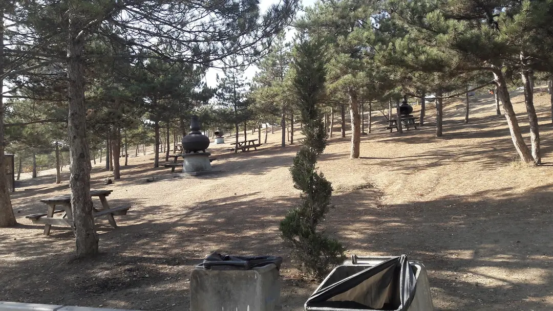 Mavi Göl — Ankara — küçük resim 8