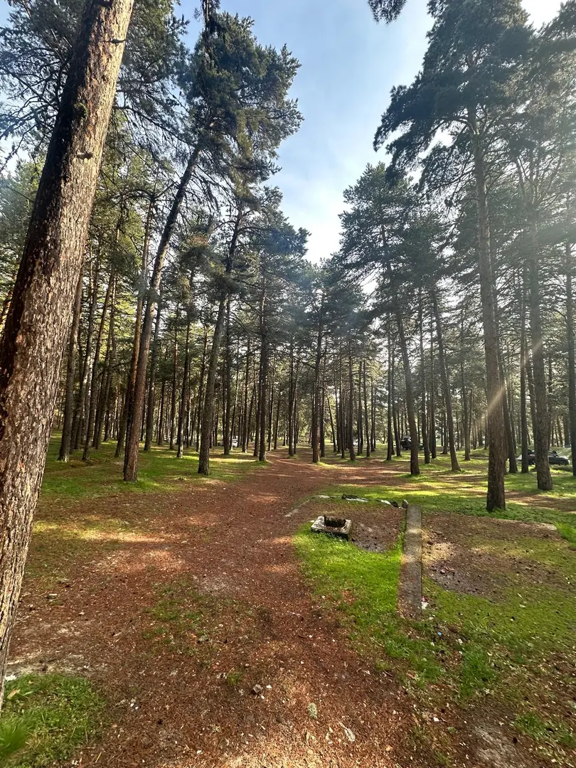 Parco Naturale di Çamkoru e Area Campeggio — Ankara — küçük resim 7