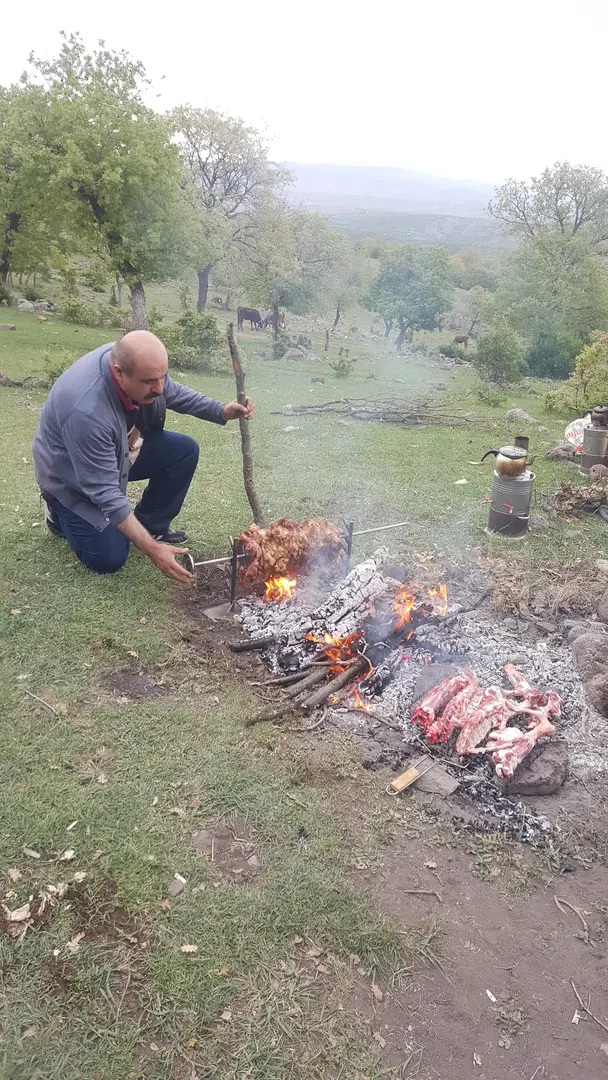 Kılıçlar Køyi Picnicområde — Ankara — küçük resim 6