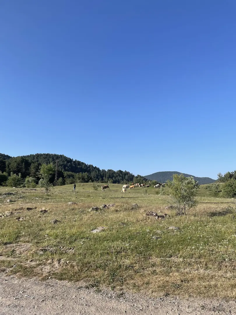 Karagöl Jeositi — Ankara — küçük resim 6