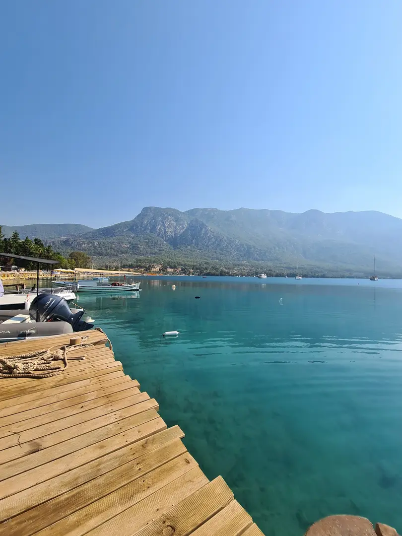 Gökova Forest Camp — Muğla — küçük resim 4