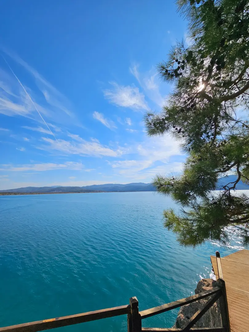 Gökova Forest Camp — Muğla — küçük resim 3