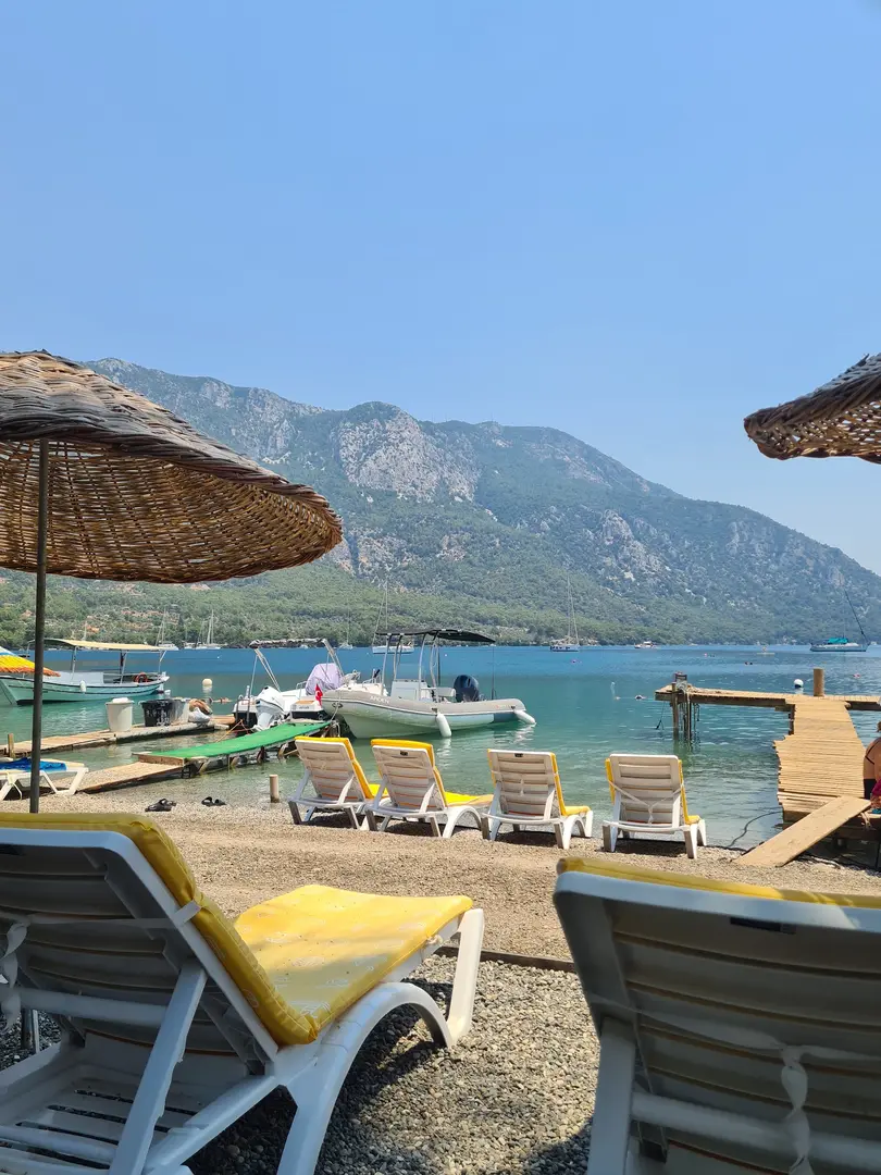 gökova orman kampı
